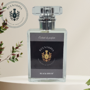 Black opium sc